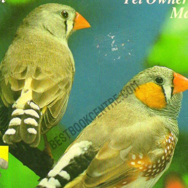 Zebra Finches