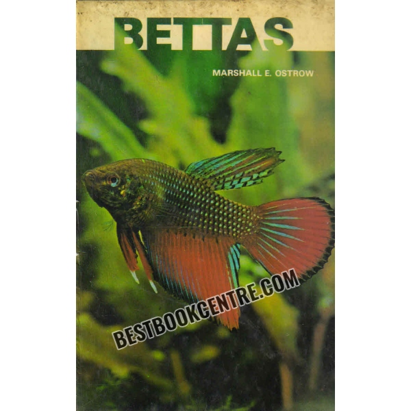 bettas 