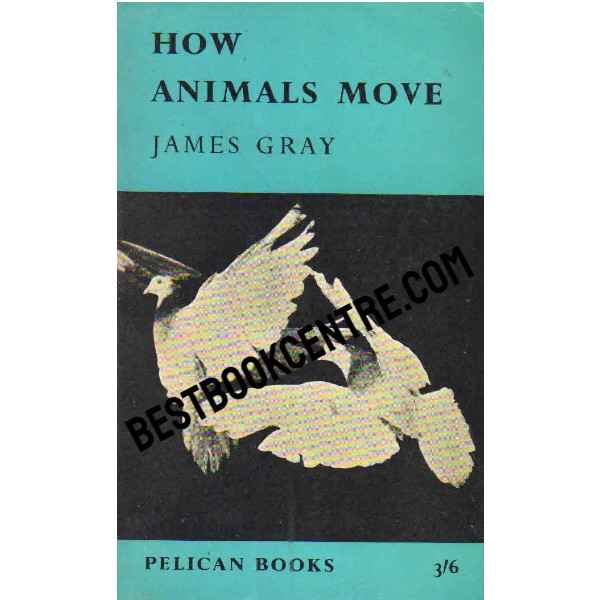 How Animals Move