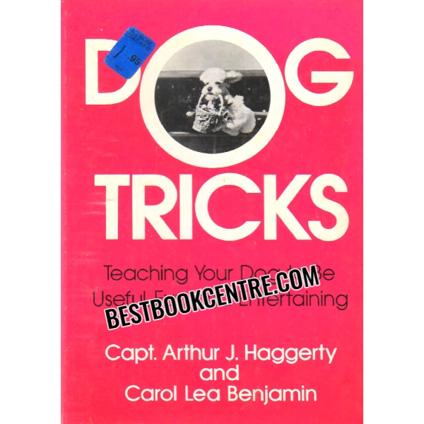 dog tricks 