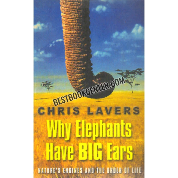 why elephants have big ears 