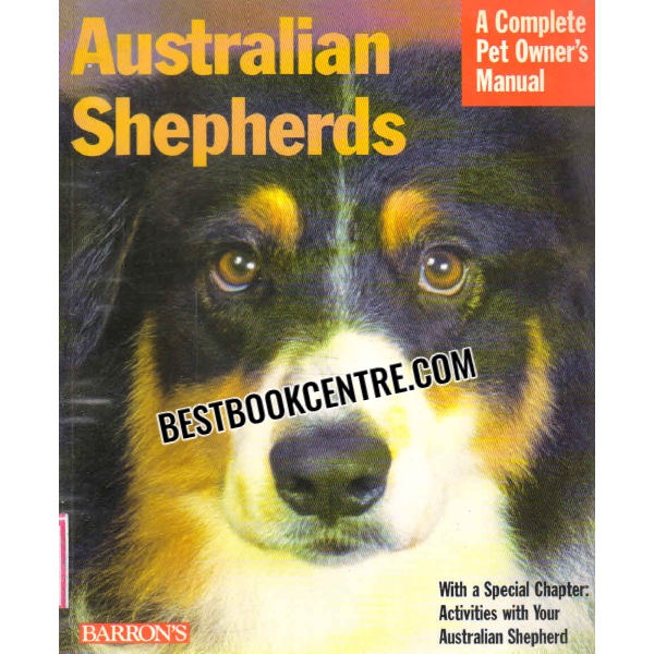 australian shepherds 