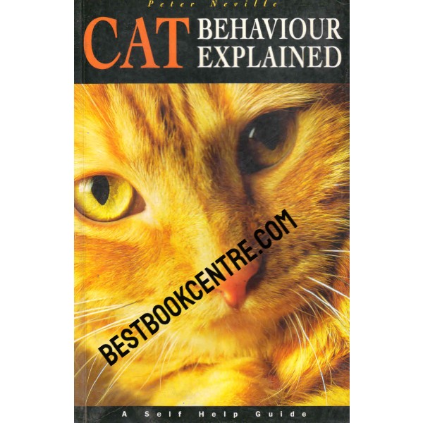 Cat Behaviour Explained