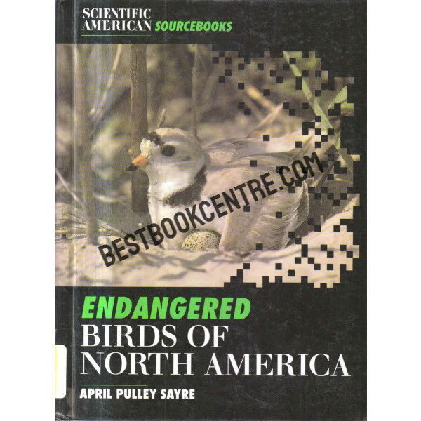Endangered Birds Of North America 1st edition