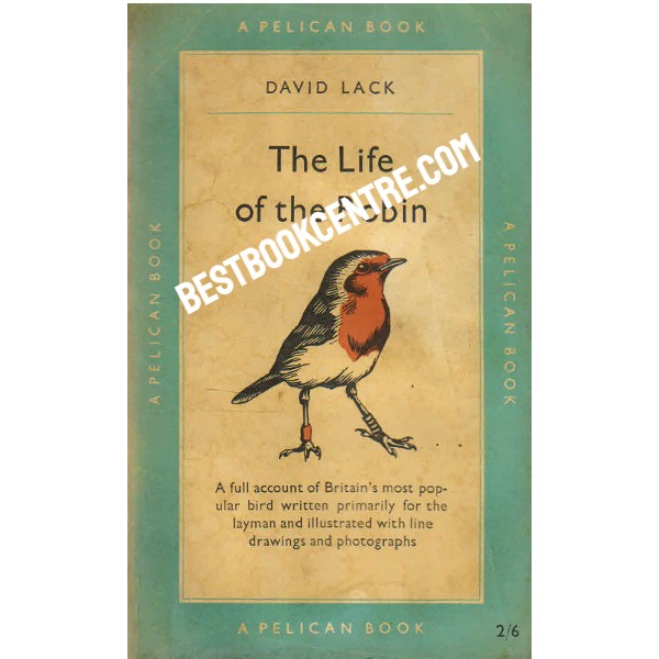 The Life of the Robin