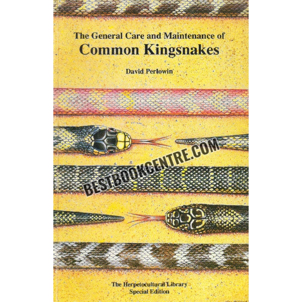 common kingsnakes 
