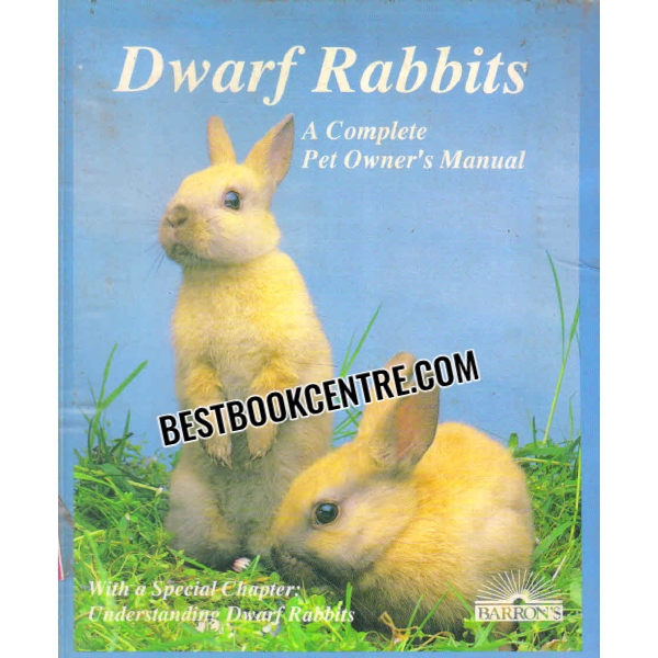 dwarf rabbits 