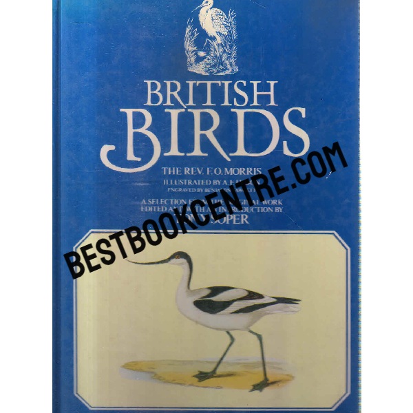 british birds