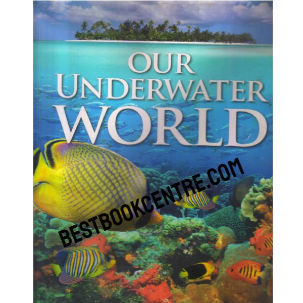 our underwater world