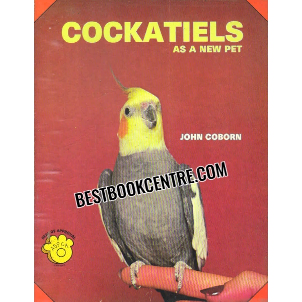 cockatiels as a new pet