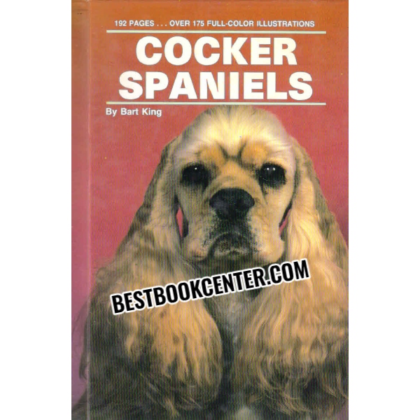 cocker spaniels 
