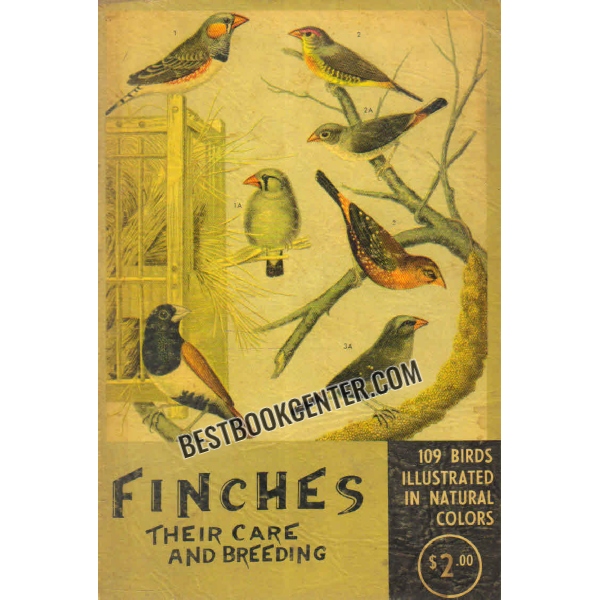 finches their care and breeding 
