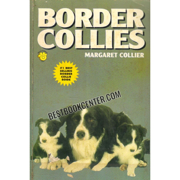 border collies 