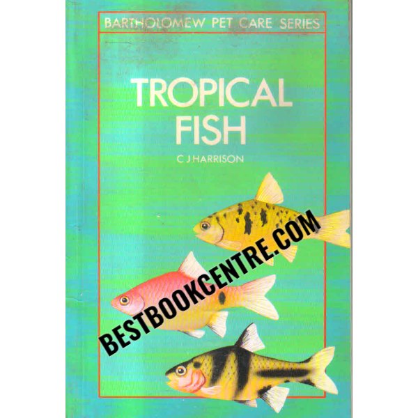 tropical fish