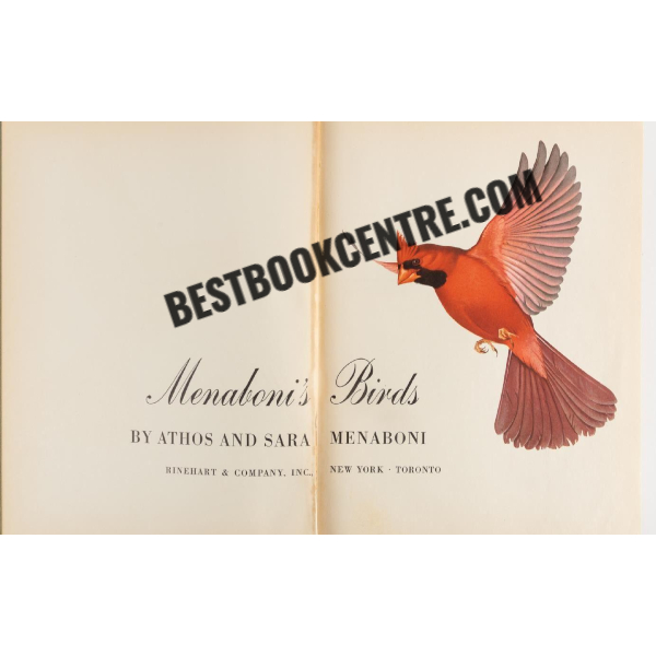menabonis birds