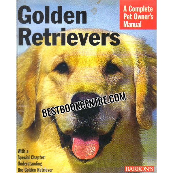 golden retrievers 