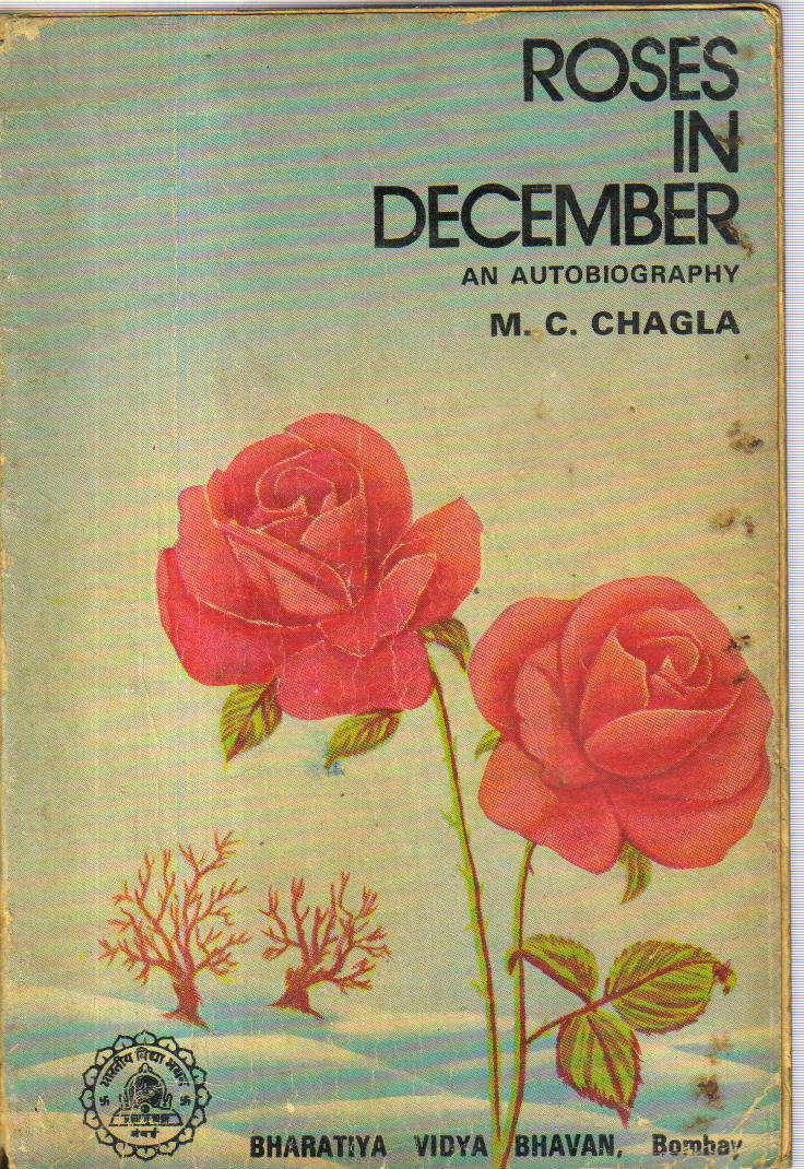 Roses in December