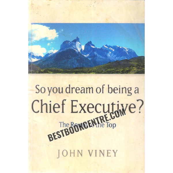 so you dream of being a chief executive