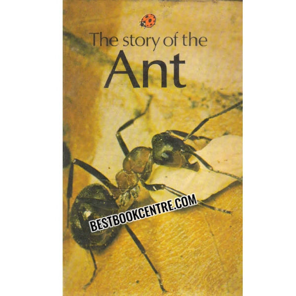 THE STORY OF ANT ladybird