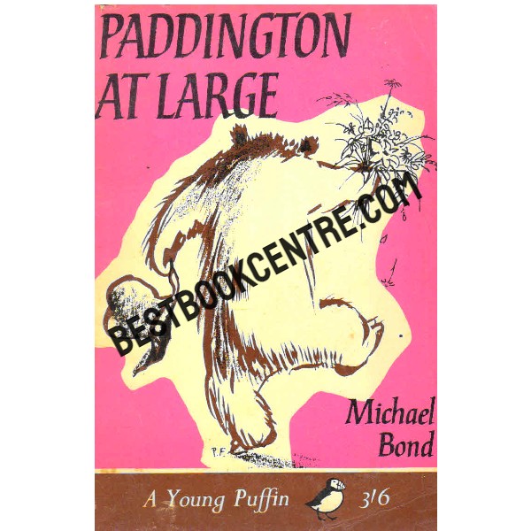 Paddington at Large