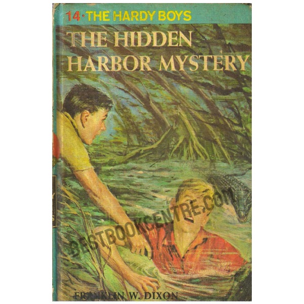 The Hidden Harbor Mystery.