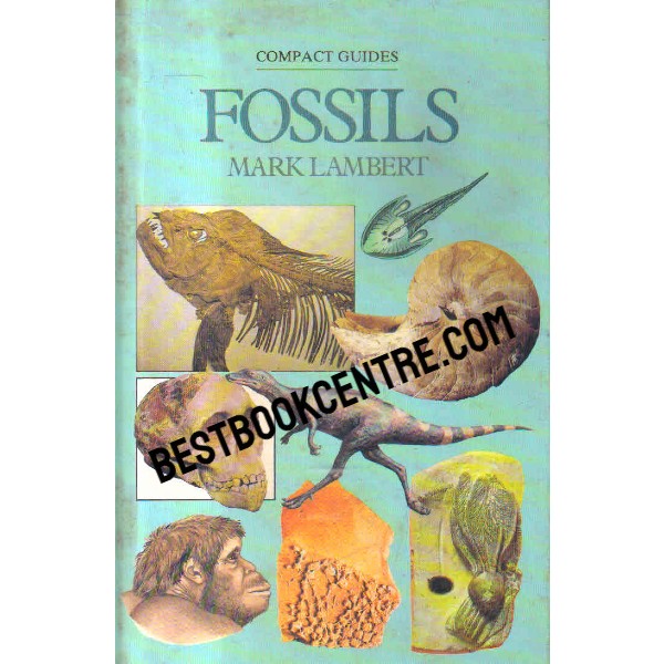 fossils