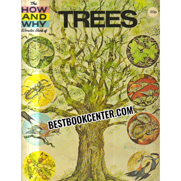 the how and why wonder book of trees 