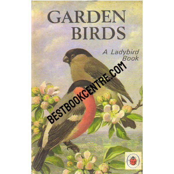 Garden Birds