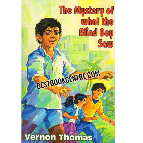 the mystery of what the blind boy saw 