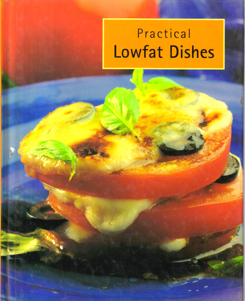 Practical Lowfat Dishes