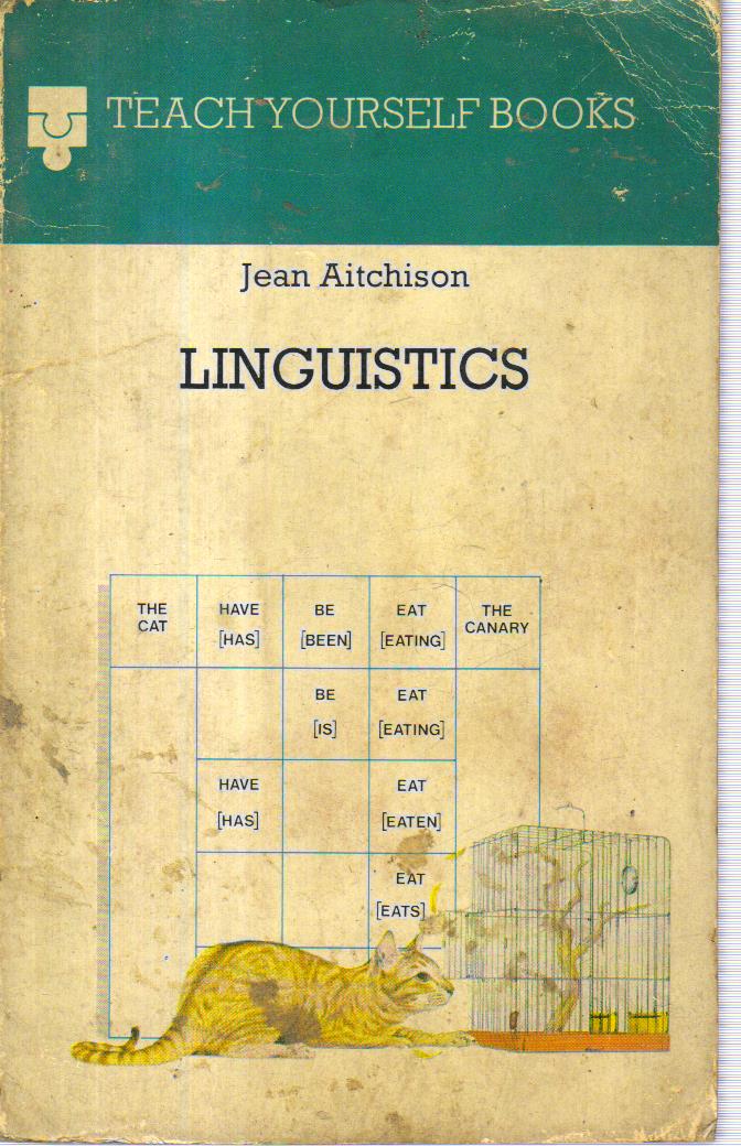 Teach yourself Linguistics.