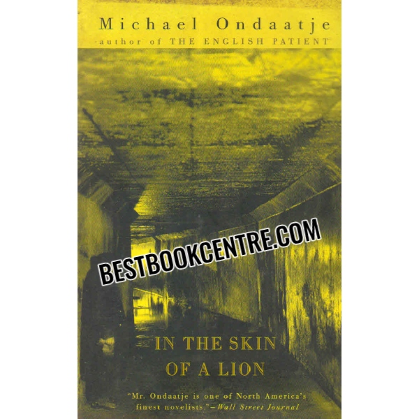 in the skin of a lion 