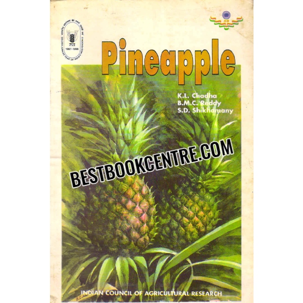 pinapple 