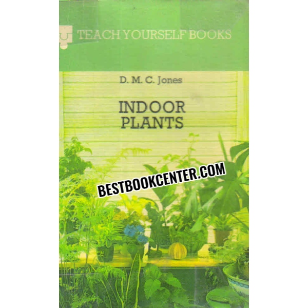indoor plants 