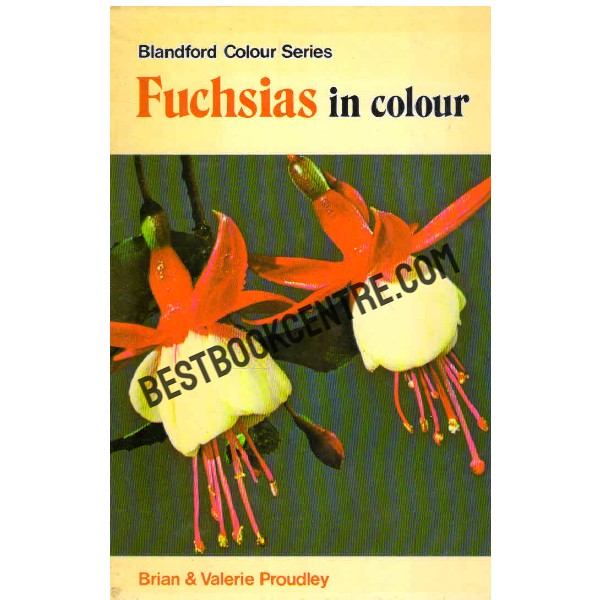 Fuchsias in Colour