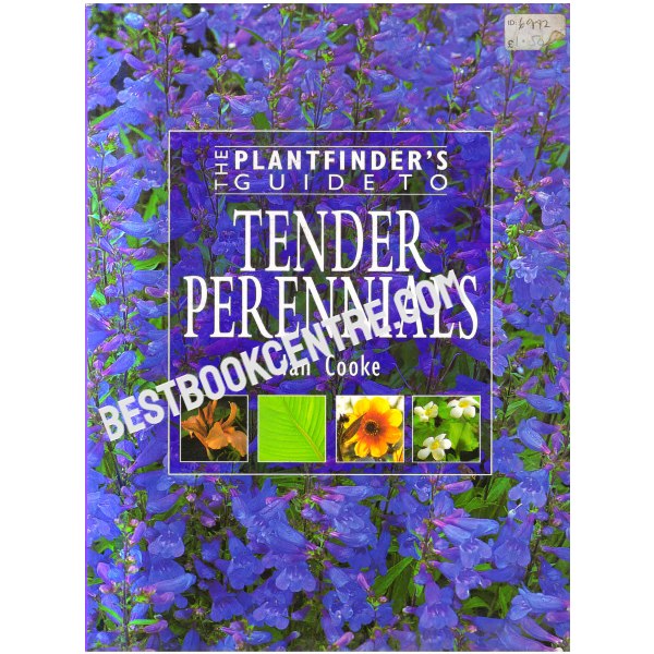 Tender Perennials