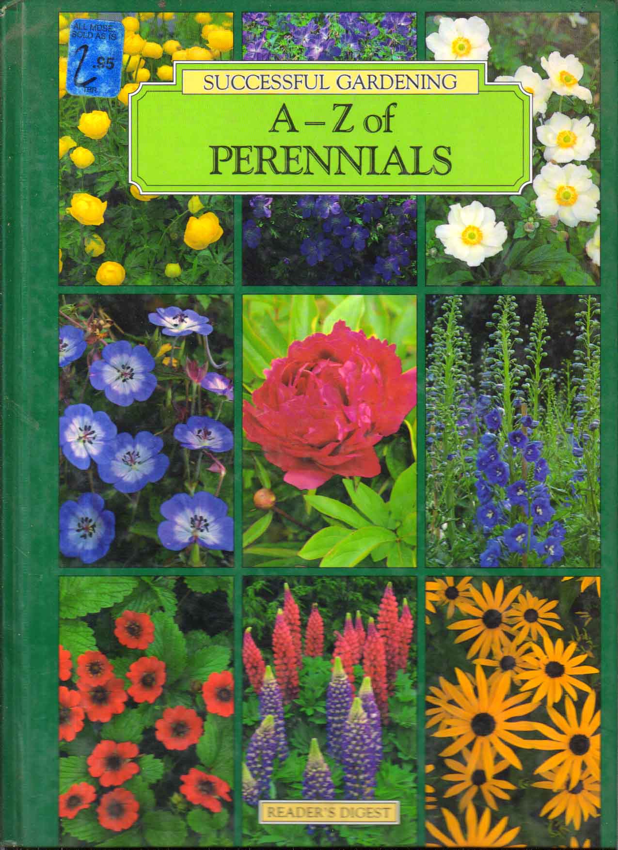 A-Z of Perennials