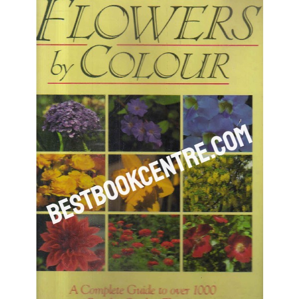 flowers by colour