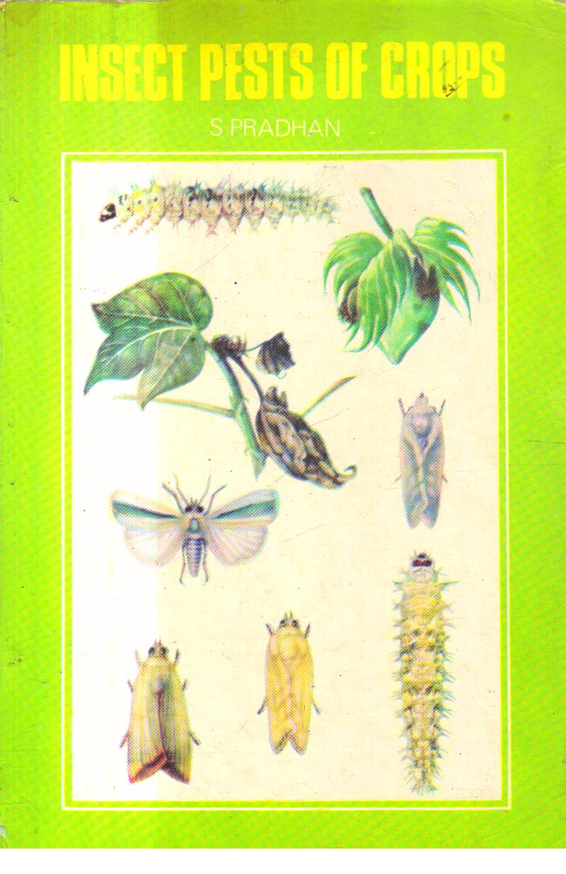 Insect Pests of Crops