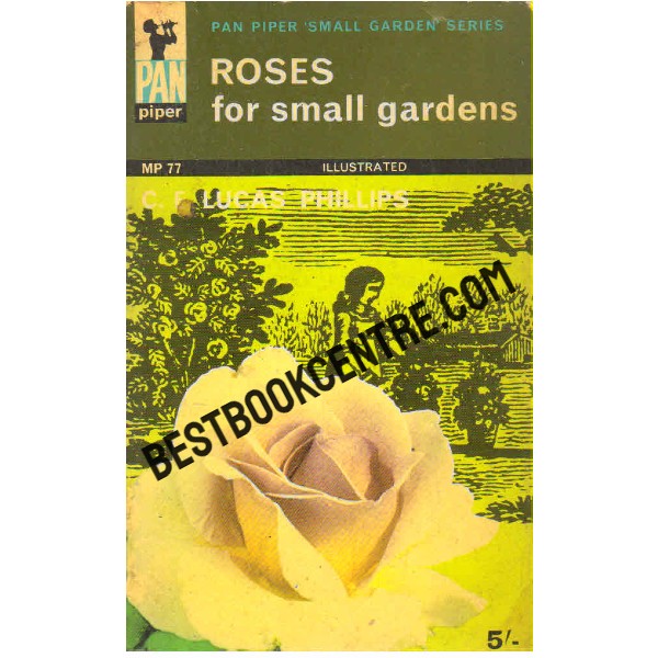 Roses for Small Gardens