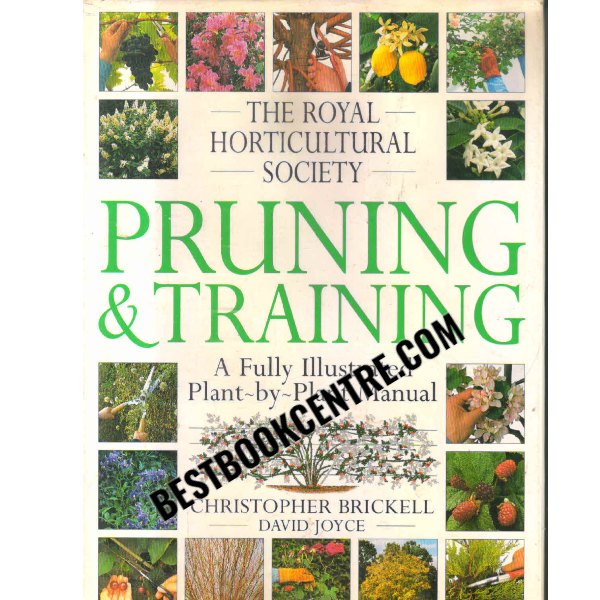 pruning and training