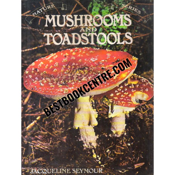 mushrooms and toadstools