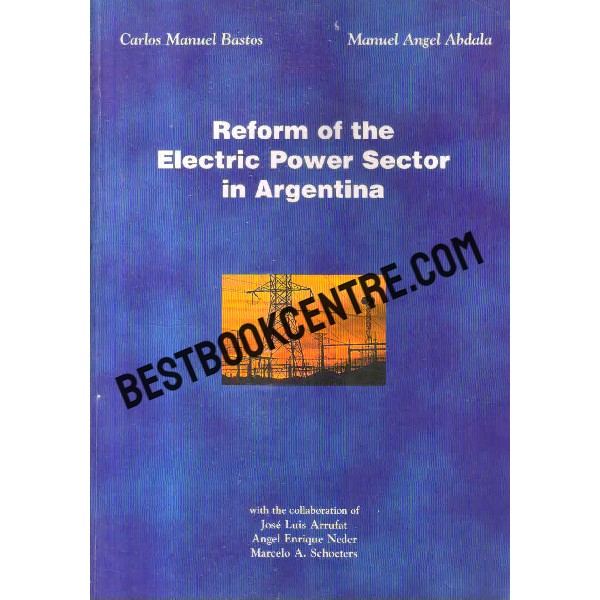reform of the electric power sector in argentina