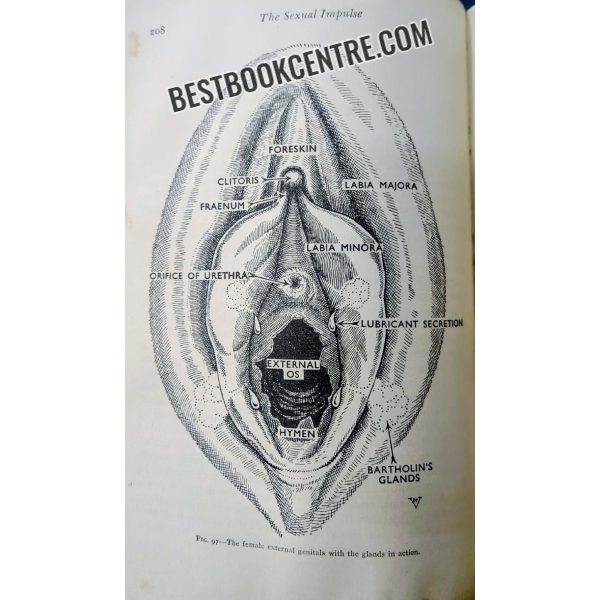 the illustrated encyclopedia of sex