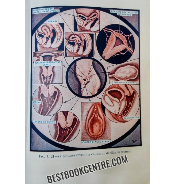 the illustrated encyclopedia of sex