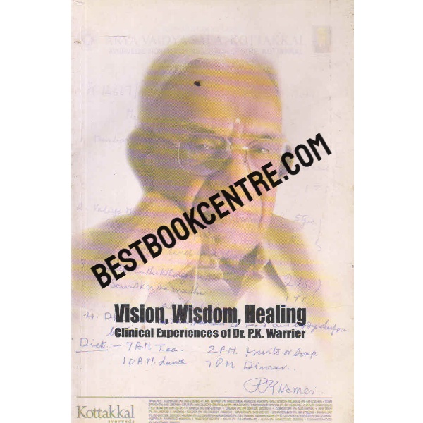 vision wisdom healing