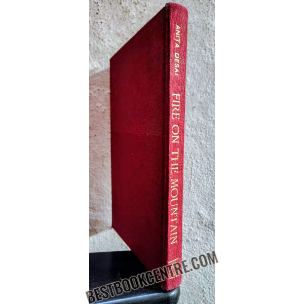 fire on the mountain 1st edition