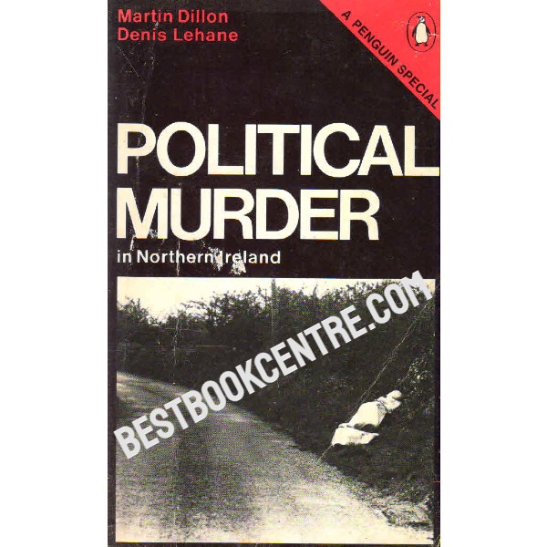 Political Murder in Northern Ireland