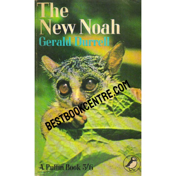 The New Noah