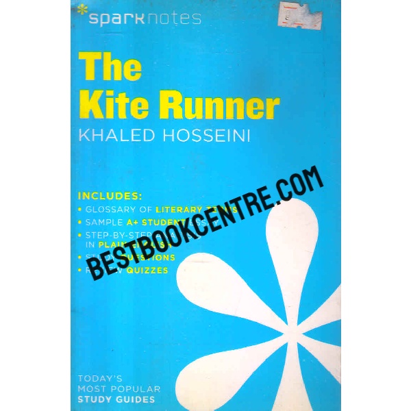 the kite runner SparkNotes Literature Guide
